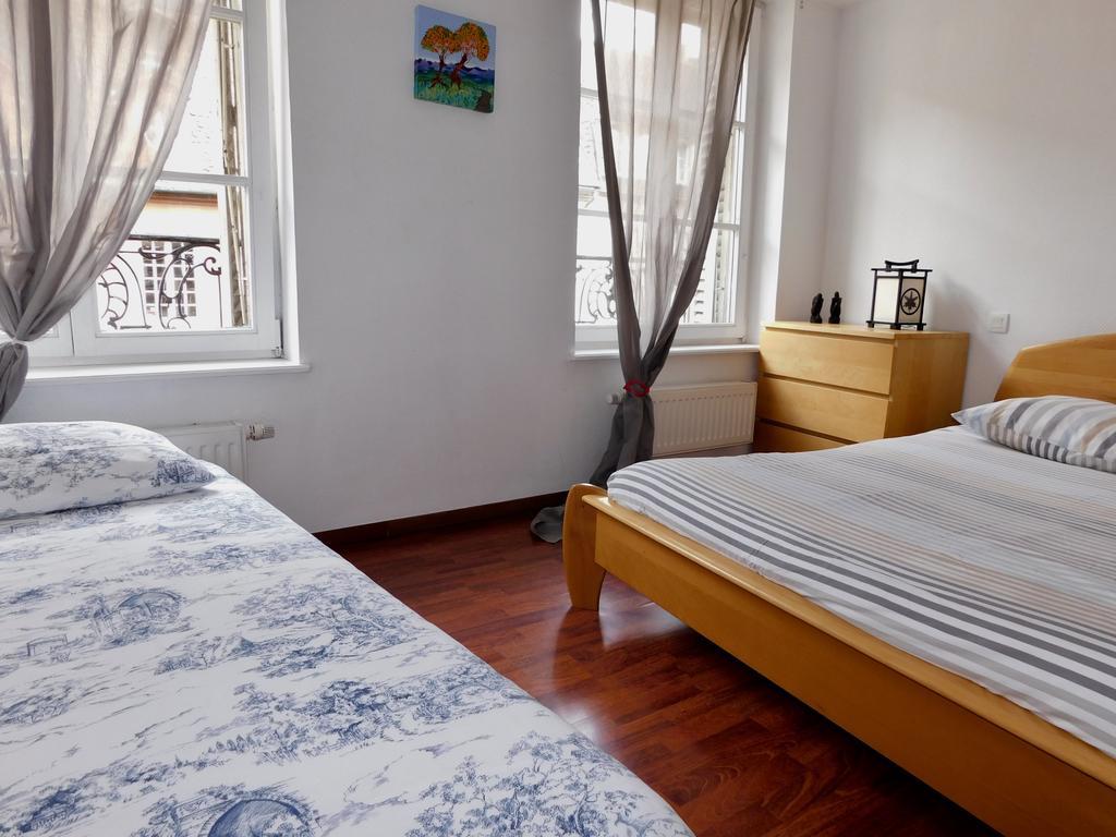 Appartement Nuee Bleue Centre Ville Strasbourg Eksteriør billede